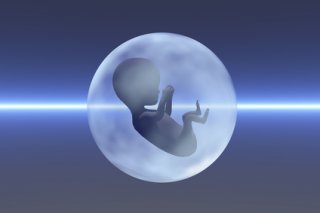 AI Fetus AI Fetus