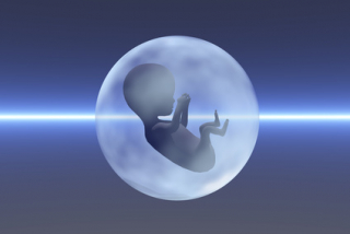AI Fetus